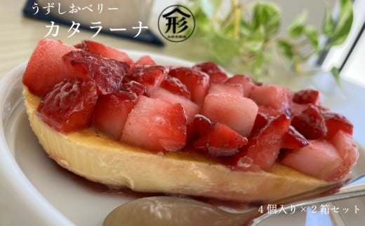 x[ J^[i 2Zbg  XC[c  x[  Ⓚ XC[c uhgps12000ʕEt[c