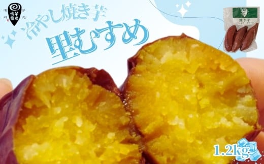 ₵Ă ނ 1.2kg yzs10000؁ÊႪEC