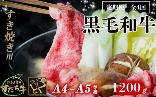 定期便 4回お届け すだち牛黒毛和牛(すき焼き用)1.2kg 合計4.8kg 国産 牛肉 すき焼き 赤身 冷凍 お肉 肉 グルメ ギフト 和牛 霜降り カット 定期便徳島県鳴門市148000肉牛肉