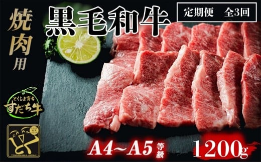 定期便 3回お届け すだち牛 黒毛和牛 ( 焼肉用 ) 1.2kg 合計3.6kg 国産 牛肉 焼き肉 焼肉 赤身 冷凍 お肉 肉 ブランド 和牛 霜降り カット 人気 定期便徳島県鳴門市117000肉牛肉
