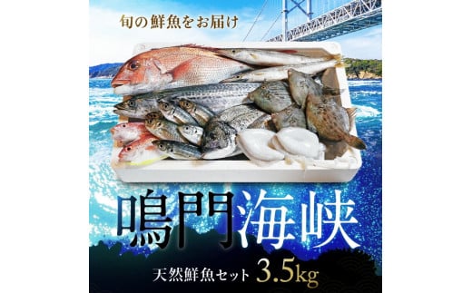 鳴門海峡 冷凍 鮮魚セット 3.5kg (魚種:4〜5種) 魚 魚介類 鯛 タイ わかめ 人気 ランキング お得 冷凍 海鮮 海産 鮮魚 詰め合わせ 詰合せ セット 真空パック 処理済 お楽しみ 小分け 簡単調