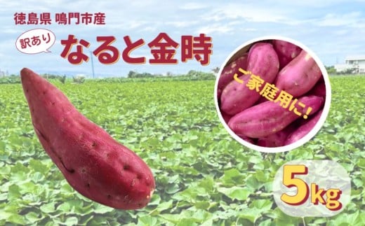 本場・徳島県鳴門市産「ご家庭用( 訳あり ) なると金時 」約5kg【数量限定】 ほくほく 甘い  国産 スイーツ 焼き芋 焼芋 天ぷら 干し芋 さつまいも徳島県鳴門市10000野菜・きのこじゃ