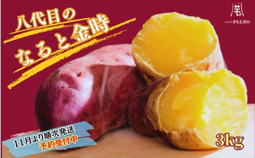 y\tE2025N11菇zy،_zڂ ȂƋ 3kg | ܂  n Y XC[c Ă  X` VՂ T_ X[vs10000