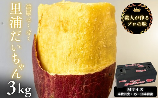 Y ܂ w Y x 3kg | ȂƋ Â zNzN XC[c Ă  VՂ T_  Γs12000؁ÊႪEC