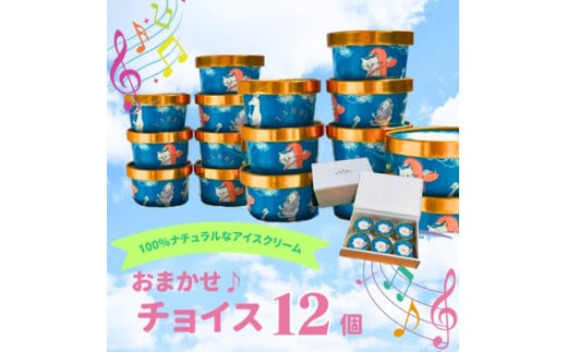 yTABBY ICE CREAMz܂`CXACXN[12Zbg    Y Ɛ i` Mgt[ Ifޓs25000َqEXC[cACXEWF[g