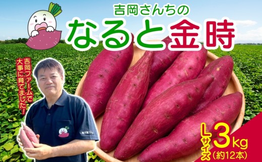 「吉岡さんちのなると金時」 Lサイズ 3kg|さつまいも 鳴門金時 熟成 国産 スイーツ 焼いも 干し芋 ギフト 贈り物 お土産 サツマイモ徳島県鳴門市10000野菜・きのこじゃがいも・イモ類
