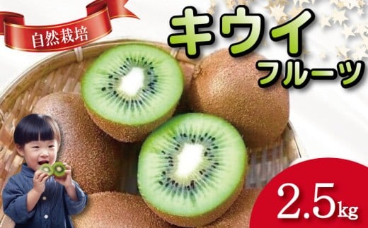 キウイ フルーツ 2.5kg キウイ 国産 フルーツ 果物 自然栽培 無農薬 ヨーグルト ジュース サラダ ビタミン 食物繊維 ダイエット 減量 美容 健康志向 お取り寄せ みその農園 徳島県 小松島市徳