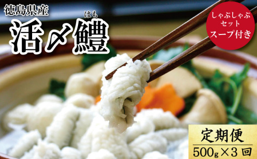  S3  n Ԃ Zbg 1.5kg 500g × 3 X[vt Ⓚ VN Yn     Y  CN   wss60000ECY