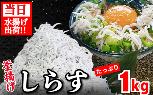 しらす 釜揚げ 1kg ちりめんじゃこ じゃこ しらす ちりめん 小魚 魚 海鮮 魚介類 魚貝 シーフード いわし 鰯 おかず おつまみ 惣菜 弁当 ご飯 のお供 ごはん 酒の肴 のお供 小分け 冷蔵 新鮮 海