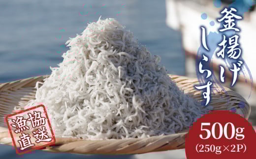しらす 釜揚げ 小分け 500g(250g×2パック)冷凍 漁協直送 しらす丼 丼ぶり 魚 ご飯 お取り寄せ グルメ 人気 おすすめ やわらか ちりめん じゃこ ジャコ 海の幸 惣菜 弁当 簡単調理 ごはんのお