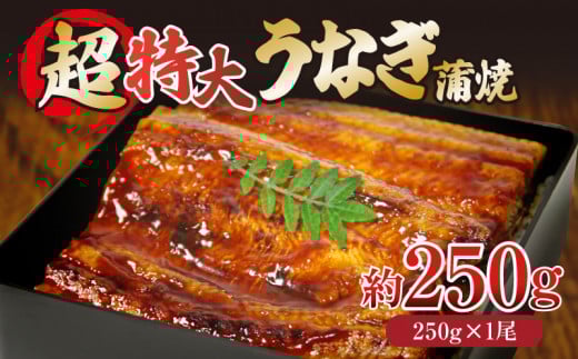 うなぎ 蒲焼き 特大 250g タレ付き 冷凍 小分け 特上うなぎ うなぎ 料亭 肉厚 ふっくら 香ばしい うなぎ蒲焼き 鰻蒲焼 養殖鰻 養殖うなぎ 温めるだけ 簡単調理 うな重 うな丼 土用 丑の日 ふわ