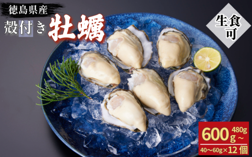 牡蠣 かき カキ 生ガキ 12個 計480g〜600g 生食用 殻付きかき 数量限定 オイスター 貝柱 殻付牡蠣 生牡蠣 蒸し焼き 焼き牡蠣 カンカン焼き 加熱用牡蠣 海鮮 海の幸 魚介類 魚貝類 殻付き牡蠣 カ