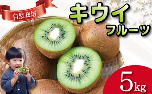 キウイ フルーツ 5kg キウイ 国産 フルーツ 果物 自然栽培 無農薬 ヨーグルト ジュース サラダ ビタミン 食物繊維 ダイエット 減量 美容 健康志向 お取り寄せ みその農園 徳島県 小松島市徳島