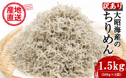 訳あり ちりめん 1.5kg 国産 しらす ちりめんじゃこ 鰯 いわし 魚 海鮮 魚介類 魚貝 干物 乾物 産地直送 しらすご飯 ごはん おにぎり 米 こめ 不揃い 規格外 家庭用 お取り寄せ グルメ おつまみ