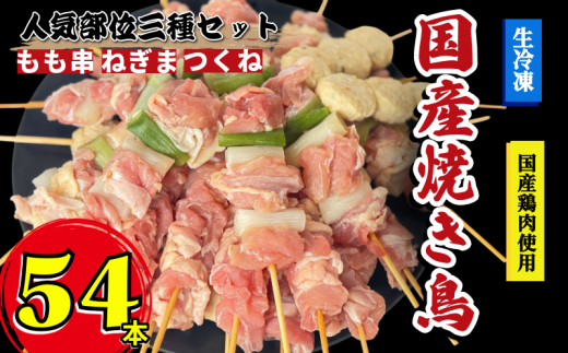 焼き鳥 セット 54本 もも つくね ねぎま 鶏肉 やきとり 串焼 チキン もも肉 つくね おかず 塩焼き スパイス 照り焼き おつまみ ビール BBQ パーティー イベント 小分け 包装 冷凍 徳島 小松島