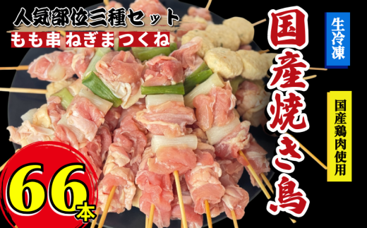 焼き鳥 セット 66本 もも つくね ねぎま 鶏肉 やきとり 串焼 チキン もも肉 つくね おかず 塩焼き スパイス 照り焼き おつまみ ビール BBQ パーティー イベント 小分け 包装 冷凍 徳島 小松島