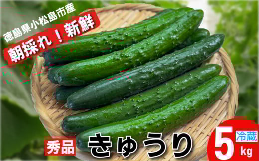 イ Gi 5sȏi54{jVN ̂ イ s  Ė Yn 5kg |̕ ӉZ LE s13000؁Ê̑ 