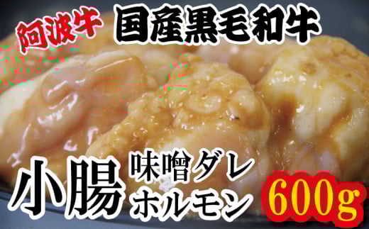 ホルモン 小腸 阿波牛 200g×3パック 計600g 冷凍 小分け 味噌 タレ 味噌ダレ 味噌漬け 焼肉 国産 牛 肉 黒毛和牛 和牛 BBQ バーベキュー 脂 ホソ もつ 牛肉 焼き やきにく ビール 酒 米 ご飯 と一