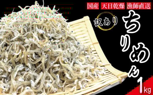 【2025年6月末から順次発送】 ちりめん 訳あり 1kg ちりめんじゃこ 選べる 容量 訳アリ ご飯 米 お米 おにぎり と一緒に 弁当 新鮮 鮮度 カルシウム 食品 健康 栄養 ギフト プレゼント 贈答 お