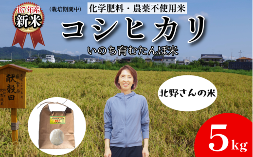 【令和7年産新米】米 コシヒカリ 5kg 天皇献上米  (栽培期間中)化学肥料・農薬不使用米 白米 精米 こめ  ご飯 備蓄米 ごはん 新米  環境 に優しい 小松島市 上王子特質米 5kg徳島県小松島市180