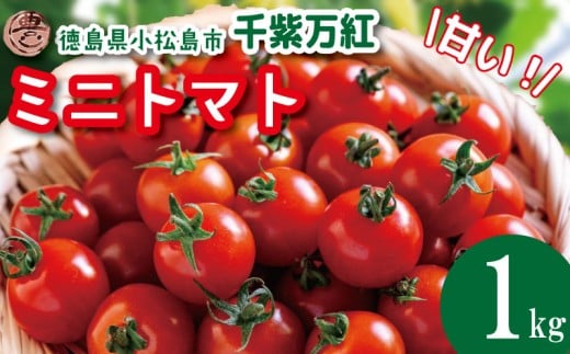 y2026N3z ~jg}g 1kg 率g s\ g}g k͔| Â  ₳ Y Yn ʌ { tbVg}g  VN \[X  P`bv T_ e VN