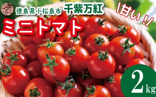y2026N4z ~jg}g 2kg 率g s\ g}g k͔| Â  ₳ Y Yn ʌ { tbVg}g  VN \[X  P`bv T_ e VN