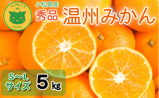 【2025年11月順次発送】 みかん 秀品 温州みかん5kg  早生みかん ミカン 蜜柑 甘い フルーツ 柑橘 ジュース 小松島市 5kg オススメ 人気 ふるさと納税徳島県小松島市10000果物・フルーツみかん・