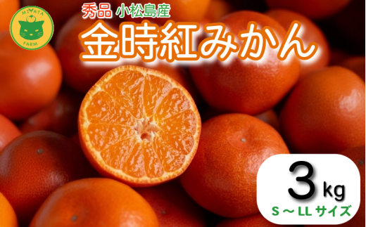 【2025年12月順次発送】 金時紅みかん 3kg みかん 甘い 紅 みかん 柑橘 蜜柑 ミカン ジュース 果汁 徳島県 小松島市  フルーツ 果実徳島県小松島市14000果物・フルーツみかん・柑橘類