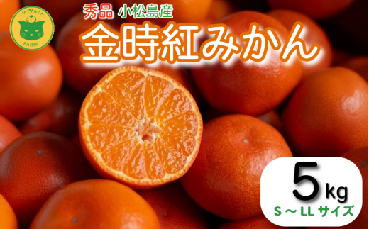【2025年12月順次発送】 金時紅みかん 5kg みかん 甘い 紅 みかん 柑橘 蜜柑 ミカン ジュース 果汁 徳島県 小松島市  フルーツ 果実徳島県小松島市20000果物・フルーツみかん・柑橘類