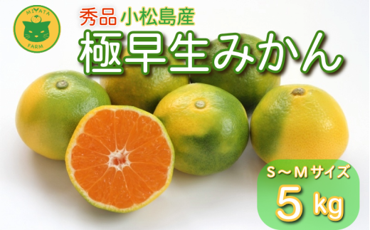 【2025年9月20日以降発送】 みかん 秀品 極早生みかん 5kg 蜜柑 ミカン 柑橘 旬 フルーツ 果実 ジュース 小松島市 甘い ジューシー デザート 産地直送徳島県小松島市10000果物・フルーツみかん