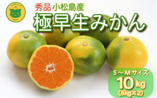 【2025年9月20日以降発送】 みかん 秀品 極早生みかん 10kg 蜜柑 ミカン 柑橘 旬 フルーツ 果実 ジュース 小松島市 甘い ジューシー デザート 産地直送徳島県小松島市18000果物・フルーツみかん