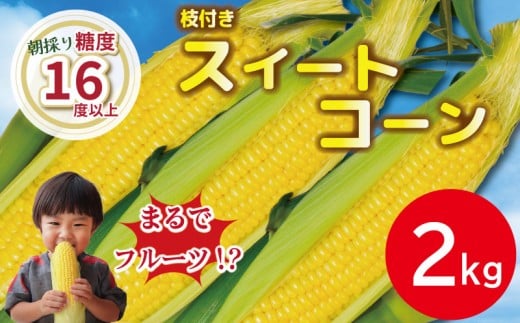 ys\z Ƃ낱 XC[gR[ 2kg 2026N4菇 ̂ ̂ꂽ x 16xȏ S[hbV lI  Â R[ Yn  Ԃǂ  ɕ Â ̂