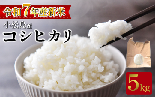 【2026年2月発送】米 コシヒカリ5kg  米 白米 精米 こめ お米 産地直送 選べるお届け月 おすすめ 人気 備蓄 ご飯 ごはん 小松島 コシヒカリ徳島県小松島市12000米・パン白米