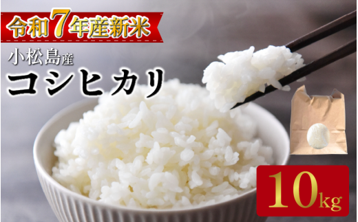 【2026年2月発送分】米 コシヒカリ10kg(5kg×2) 2025年10月から順次発送   米 白米 精米 こめ お米 産地直送 選べるお届け月 おすすめ 人気 備蓄 ご飯 ごはん 小松島 コシヒカリ徳島県小松島市220