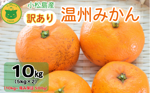 【2025年11月順次発送】 訳あり みかん 温州みかん10kg(10kg+傷み保証500g) ミカン 蜜柑 甘い フルーツ 柑橘 ジュース 小松島市 オススメ 人気 ふるさと納税 5kg 10kg徳島県小松島市12000果物・フ