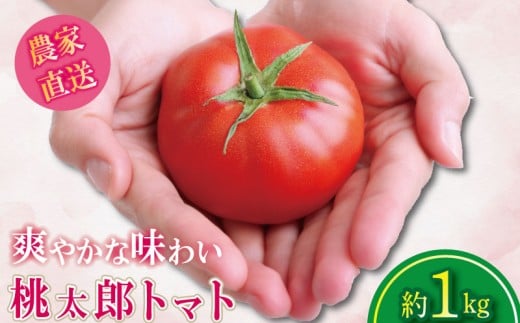 y2026N4z g}g 1kg Y s\  Â  ₳ Y Yn ʌ { Yg}g  VN \[X  P`bv T_ e VN N  O 