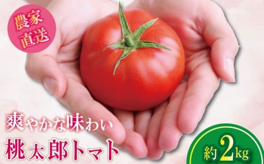 y2026N2z g}g 2kg Y s\  Â  ₳ Y Yn ʌ { Yg}g  VN \[X  P`bv T_ e VN N  O