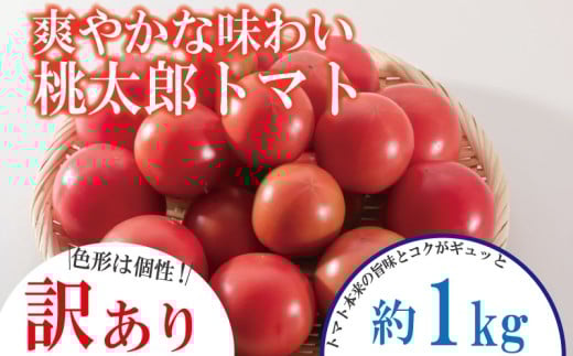【訳あり】 【12月発送】 トマト 約1kg 桃太郎 先行予約  甘い 野菜 やさい 国産 産地直送 数量限定 旬 桃太郎トマト 生野菜 新鮮 ソース 調味料 ケチャップ サラダ 美容 新鮮 健康 お取り寄せ
