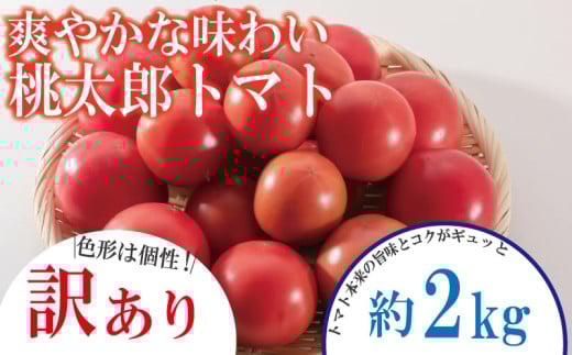【訳あり】 【4月発送】 トマト 約2kg 桃太郎 先行予約  甘い 野菜 やさい 国産 産地直送 数量限定 旬 桃太郎トマト 生野菜 新鮮 ソース 調味料 ケチャップ サラダ 美容 新鮮 健康 お取り寄せ
