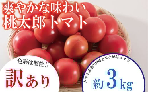 【訳あり】 【1月発送】 トマト 約3kg 桃太郎 先行予約  甘い 野菜 やさい 国産 産地直送 数量限定 旬 桃太郎トマト 生野菜 新鮮 ソース 調味料 ケチャップ サラダ 美容 新鮮 健康 お取り寄せ