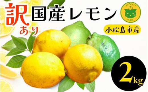 レモン 2kg 訳あり 2025年10月順次発送 国産 レモン 檸檬 れもん ワックス不使用 防腐剤不使用 柑橘 果汁 フルーツ 果実 徳島 小松島市徳島県小松島市7000果物・フルーツみかん・柑橘類