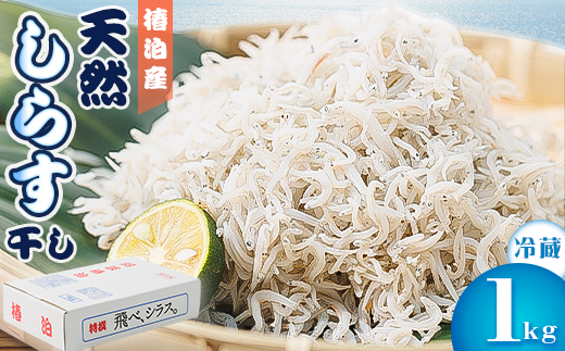 ①VR炷1kg@ɐlCy1386282zs12000ECY̑ ECY