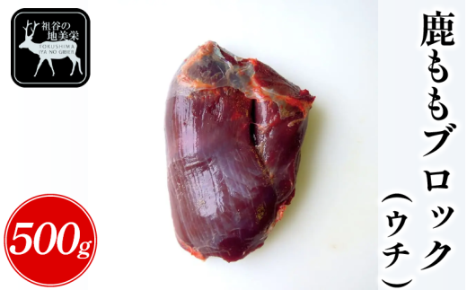 yODscJYzcJ̒nh   ubN E` 500g   WrG nh I  Y wV[ J[ ς ᎉ ē BBQ o[xL[ Xe[L [Xg
