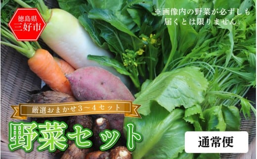 野菜 おまかせ セット 3〜4種 旬の野菜 詰め合わせ 1回便 季節の野菜 旬野菜 やさい サラダ 鍋 煮物 おでん 野菜炒め 新鮮 徳島県産 食品 グルメ 贈り物 ギフト  徳島県 三好市 みよし 篠原農