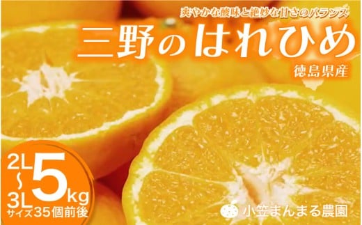 みかん 5kg ( 2L 〜 3L 35個 前後 ) 蜜柑 柑橘 はれひめ オレンジ 国産 数量限定 特産品 期間限定 徳島 三野 フルーツ 果物 みかんジュース オレンジジュース 冷凍みかん ジューシー アイス おや