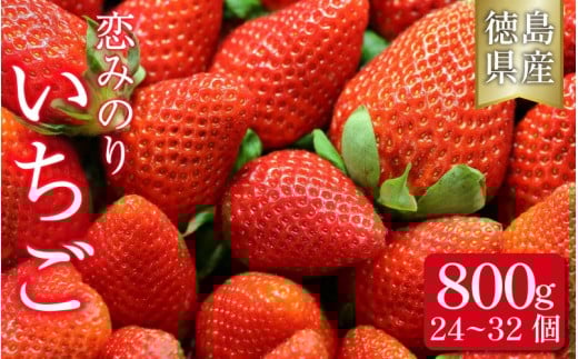  ݂̂ 800g ʕ t[c  Xgx[ W X[W[ mَq Ƒ qǂ t[cTh t[c啟 啟 䕑啟 lC IXX  O 