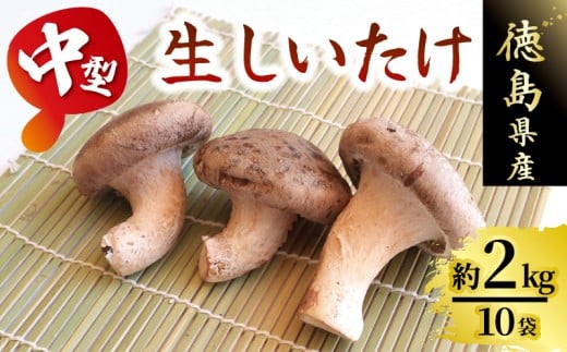 きのこ しいたけ 2kg 程度 中型 10袋 キノコ 椎茸 ステーキ 生しいたけ 生 シイタケ だし ダシ 焼きしいたけ 肉詰め 鍋 味噌汁 スープ 野菜 新鮮 旬 食べ応え 厚い 肉厚 うまみ セット 菌床しい