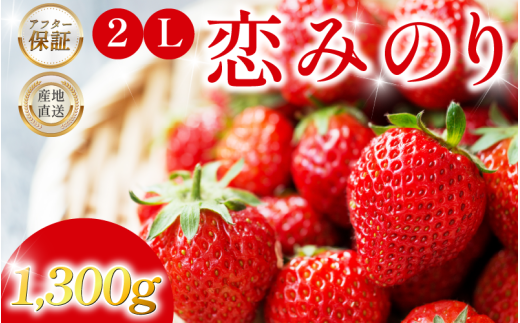 いちご 1.3kg 先行予約 大粒 2L以上 恋みのり 極上 香り 甘い 苺 イチゴ 果物 フルーツ ストロベリー ジャム スムージー 期間限定 洋菓子 家族 子ども フルーツサンド フルーツ大福 いちご大福