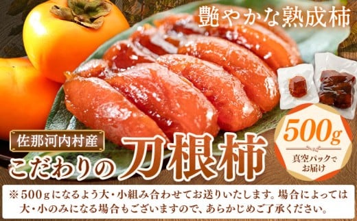 佐那河内村産 こだわりの刀根柿 500g (真空パック) 山本清 《30日以内に出荷予定(土日祝除く)》│ 干し柿 干柿 柿 かき カキ フルーツ 果物 くだもの 農家直送 家庭用 秋の味覚 旬 徳島県 佐那