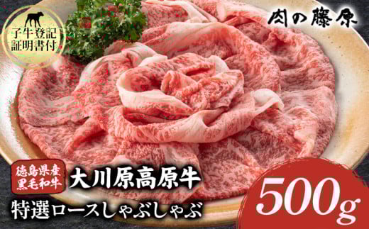 大川原高原牛 特選ロースしゃぶしゃぶ 500g 肉の藤原《30日以内に出荷予定(土日祝除く)》和牛 希少 佐那河内 さなごうち 大川原高原 牛肉 鍋  特選 ロース 贅沢  冷しゃぶ サラダ 牛丼 弁当 レ